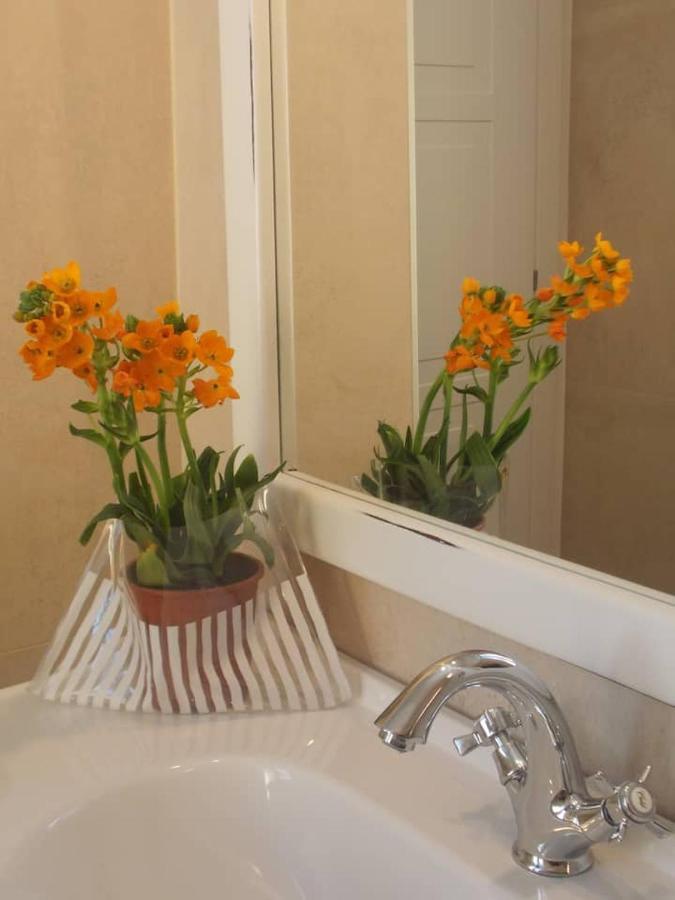 Via D'Acqua Al Mulino -City Center- Bo Bologna Ngoại thất bức ảnh